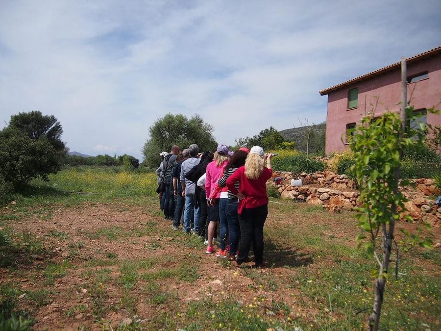 people walking an Indian file at Korogonas Ark garden with pink building on the one side